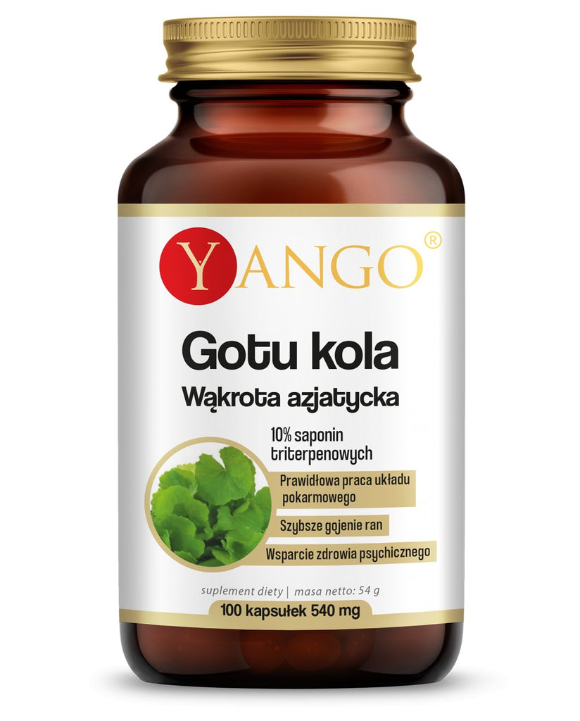 YANGO, Gotu kola (Wąkrota azjatycka) - ekstrakt 10% saponin triterpenowych, kapsułki wege, 100 szt.